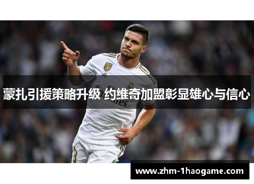 蒙扎引援策略升级 约维奇加盟彰显雄心与信心 蒙扎引援策略升级 约维奇加盟彰显雄心与信心