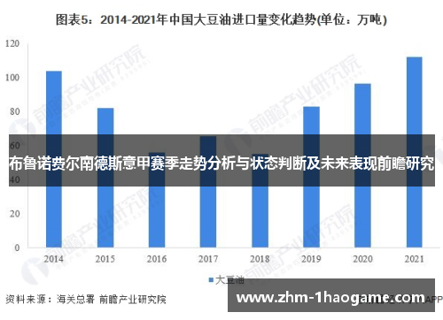布鲁诺费尔南德斯意甲赛季走势分析与状态判断及未来表现前瞻研究